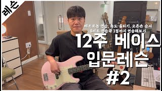 베이스기타 입문 레슨 2주차 / 패시브, 액티브의 차이 / 재즈베이스,프레시전의 차이 / 크로매틱 / 데이식스 - 예뻤어