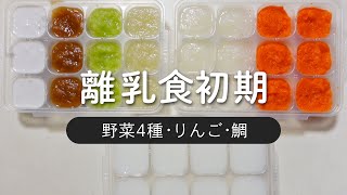 【離乳食初期】ゴックン期のペースト作り/にんじん 大根 玉ねぎ キャベツ りんご 鯛 10倍がゆ