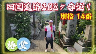 四国遍路108ヶ寺巡り・椿堂(常福寺)・別格14番札所 Shikoku Pilgrimage