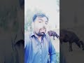 larkean 2 qisam ki😁😁 funny comedy reels funnymunda929