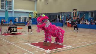 全港公開龍獅藝錦標賽 2017 HK Open Dragon Lion Dance 2017 冠軍 Champion  張家班金龍醒獅團 20171203