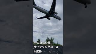 【#shorts 】飛んでる飛行機間近でみれる！サイクリングコース【#ロードバイク】