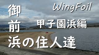 御前浜の住人達　甲子園浜編（R5/3/18）WingFoil　本日は雨上がりの甲子園浜でウイングフォイル。スピードに目覚めた住人が38.5km/hを叩き出しました！？