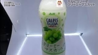 【アサヒ飲料】カルピスソーダ クリーミーマスカットを飲んだよ！濃いめの乳成分を含み、生クリームを使用したマスカット風味の炭酸飲料！ゴクゴク飲める心地よいのどごしが特長！【カルピス】