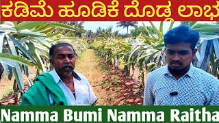 Dragon Fruit Farming New Method : Low Investment Big Profit | ಕಡಿಮೆ ಹೂಡಿಕೆ ದೊಡ್ಡ ಲಾಭ