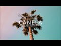 Pista De Dancehall - Instrumental Dancehall CANELA - Prod. Alexis R Beats