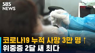 코로나19 누적 사망 3만 명 넘어…위중증 2달 새 최다 / SBS