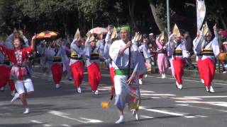 2014年　橿原神宮　春の神武祭パレード⑤　阿波踊り