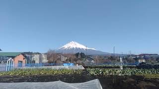 2021 01 31 の富士山