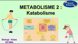 Metabolisme part 2 - Katabolisme - Biologi kelas 12 SMA