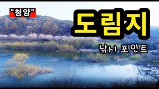 [청양]_ 도림지 / 조용하고 깔끔한 물버들 포인트 / 충남 청양군 장평면 적곡리