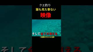 本当は教えたくないクエ釣りの秘密　　　　#磯釣り #クエ釣り