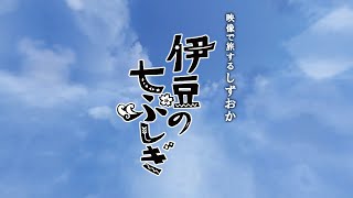 映像で旅するしずおか【伊豆の七ふしぎ】