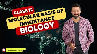 Molecular Basis of Inheritance Class 12 | NCERT | Biology |  Important Question | NEET/CUET | CBSE