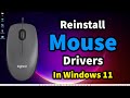 How To Reinstall Mouse Drivers In Windows 11 Pc or  Laptop