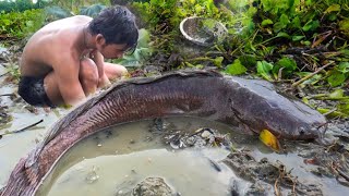 Hand Fishing After Rain | Fishing In Jungle | Primitive Survival | Primitive Technology #fishing