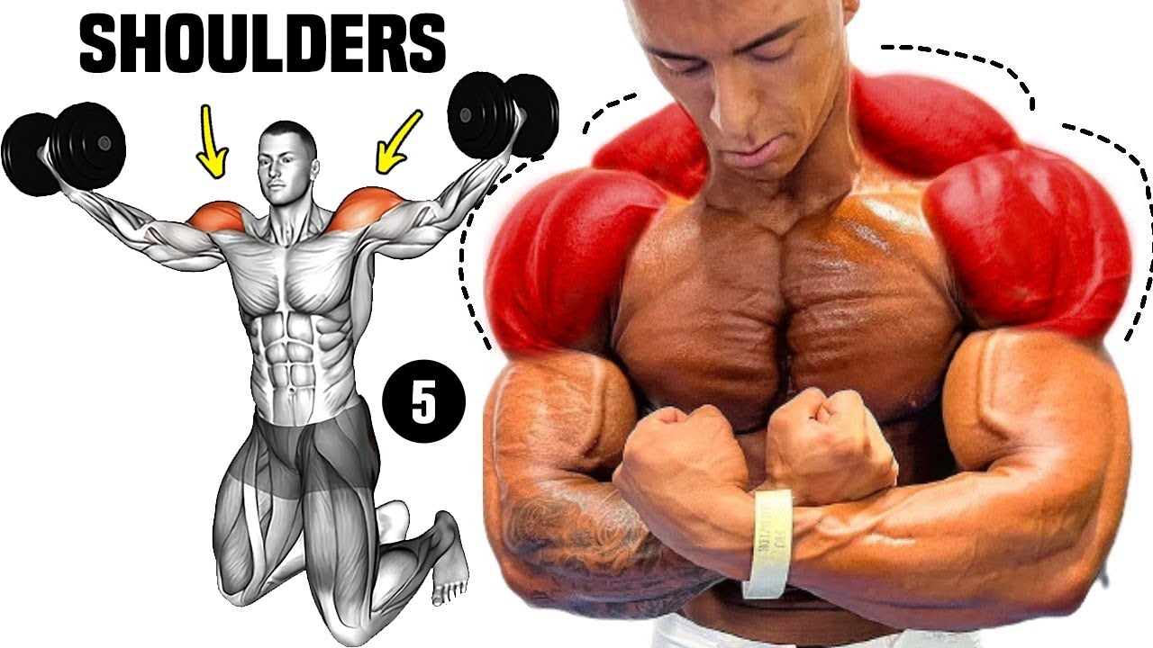 5 Shoulder Exercises For Mass - Make Your Shoulders Build And Fast ...