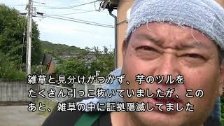 農業ノムさん　雑草と見分けがつかず、たくさん芋ツルを引いてしまった　元巨人　野村　貴仁