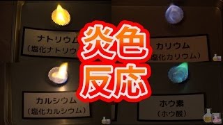 炎色反応の実験【乃万さんコラボ】【前編】