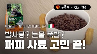 몬지 비와일드 오리 퍼피 리뷰 ㅣ이탈리아 프리미엄 브랜드🇮🇹 알러지 퍼피 사료 추천!