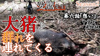 甲斐犬単独猟 Season2 第六話「想い」Japanese hunting kaidog