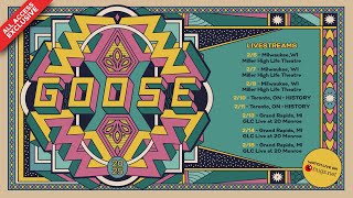 Goose 2/14/25 Grand Rapids, MI