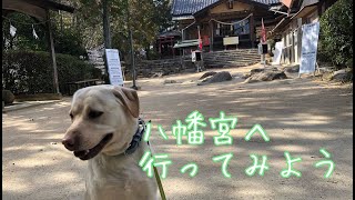 【龍ノ口山】八幡宮へ行ってみよう