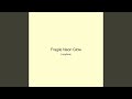 Fragile Neon Glow