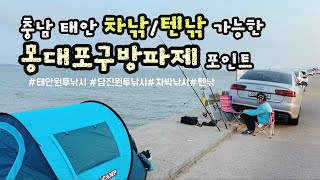 충남 태안 차낚/텐낚 가능한 몽대포구방파제 포인트