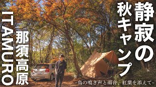 静かすぎる那須高原ITAMUROキャンプ場で、鳥と雨音と紅葉に癒される秋キャンプ【BGMなし】2022/11