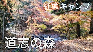 【山梨県】󾀿紅葉キャンプ🍠【道志の森キャンプ場】【ソロキャンプ】