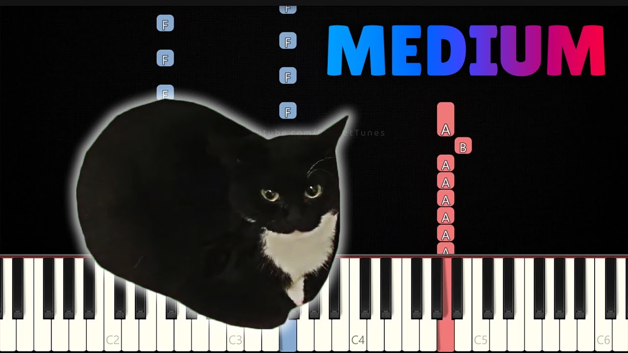 Maxwell The Cat 👉 Piano Tutorial - YouTube