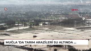 MUĞLA 'da tarım arazileri su altında kaldı