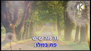 האורח - הכל עובר חביבי - שרים קריוקי