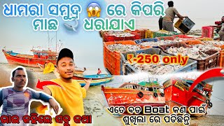 ଧାମରା ସମୁଦ୍ର ରେ କିପରି ମାଛ 🐋 ଧରାଯାଏ || ଏତେ ବଡ Boat🚢 ଶୁଖିଲାରେ କଣ ପାଇଁ ପଡିଛନ୍ତି 😱 || ଭାଇ କହିଲେ ସବୁ କଥା