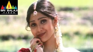 Premalo Pavani Kalyan Movie Part 2/11 | Arjan Bajwa, Ankitha | Sri Balaji Video