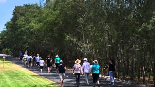 Bicentennial Park Leisure and Recreation