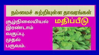 சூழ்நிலையியல் இரண்டாம் வகுப்பு-நம்மைச் சுற்றியுள்ள தாவரங்கள்.2 nd Std-EVS -Plants Around Us-Q\u0026A ✍️