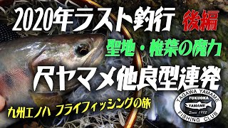 2020年9月末 ラストに連泊でホームリバー巡り（後編）　ラストにして源流尺ヤマメ他良型連発　聖地「椎葉」の魔力に触れる（宮崎県）