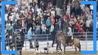 Watch: Bull runs into rodeo crowd after escaping from pen | NewsNation Prime