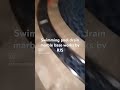 pool swimming marble