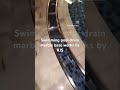 pool swimming marble