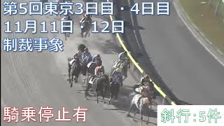 2017年11月11日・12日東京競馬制裁事象【木幡育也騎乗停止】