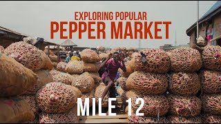 Inside Mile 12 Market: A Deep Dive into Lagos' Pepper Trade 🌶️ 🌶️