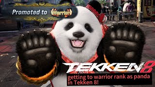 getting to warrior rank as panda in Tekken 8!