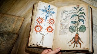 The Most Mysterious Book in History: The Voynich Manuscript -  Unsolved Code or Medieval Mystery?