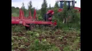 reclaming land in russia with versatile and sunflower