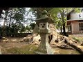 静岡 河津桜に彩られた『川津来宮神社 杉桙別命神社 』伊豆のパワースポット【音声ガイド】