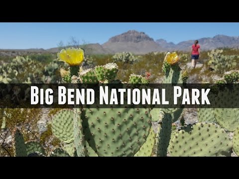 Big Bend National Park Exploration and Visiting Tips! Big Bend National Park Exploration and Visiting Tips!