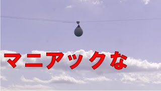 鴨川シーワールドシャチパフォーマンス【2025年02月23日13:00公演】